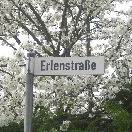 Ferienhaus Oasis